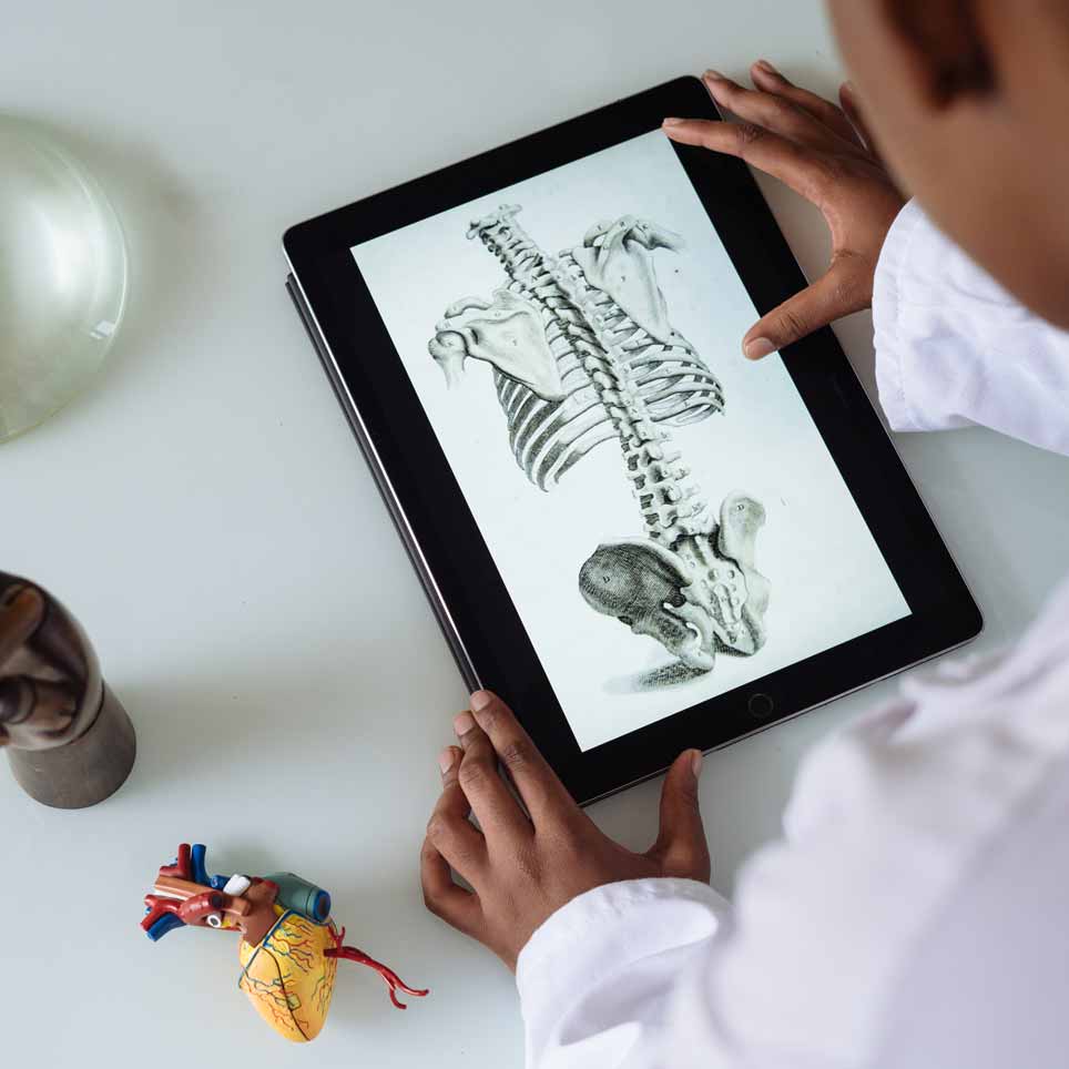 Doctor looking at skeleton on tablet